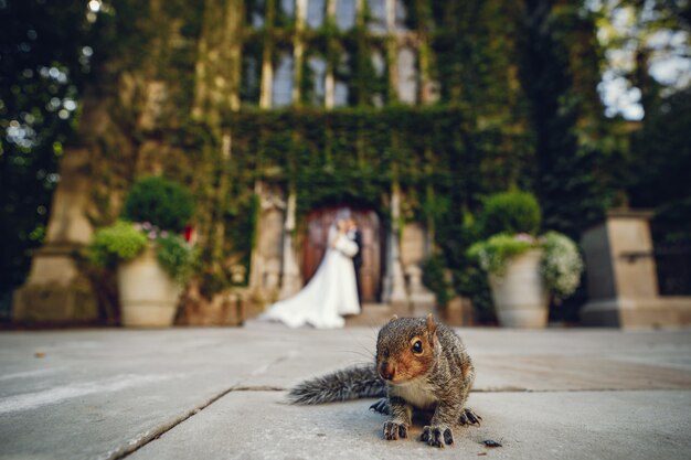 Schönes Hochzeitspaar