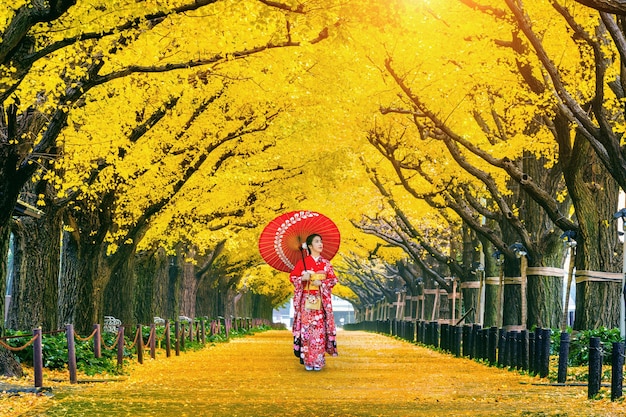 Schönes Mädchen, das japanischen traditionellen Kimono an der Reihe des gelben Ginkgobaums im Herbst trägt. Herbstpark in Tokio, Japan.