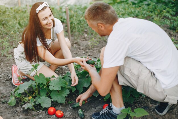 Schönes Paar arbeitet in einem Garten