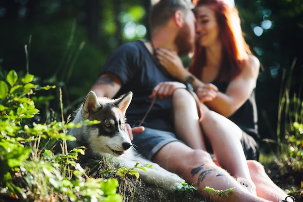 Schönes Paar und ein Hund erholen sich im Wald