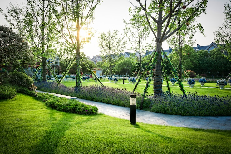 Kostenlose Foto schönes panorama des grünen stadtparks im morgengrauen