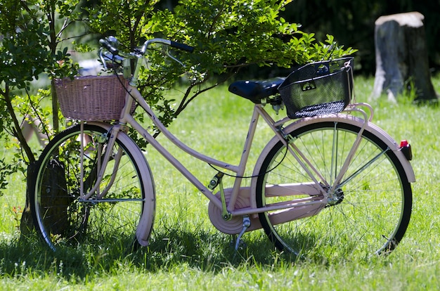 Schönes rosa Fahrrad, das durch einen Baum in der Mitte eines grasbedeckten Feldes geparkt wird