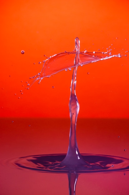 Kostenloses Foto schönes stillleben mit wasser