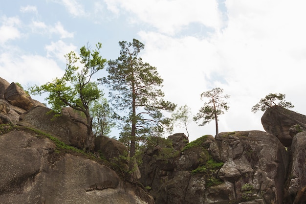 Kostenloses Foto schönes stück natur bei tageslicht