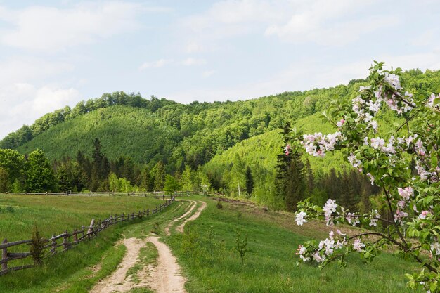 Schönes Stück Natur bei Tageslicht