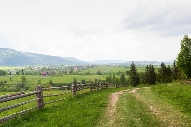 Schönes Stück Natur bei Tageslicht