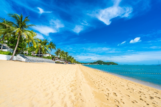 Schönes tropisches Strandmeer und -ozean mit KokosnussPalme und Regenschirm und Stuhl auf blauem Himmel