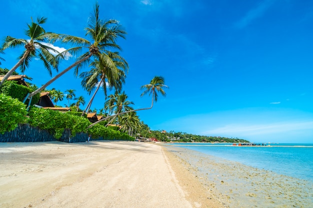 Schönes tropisches Strandmeer und -sand mit KokosnussPalme auf blauem Himmel und weißer Wolke