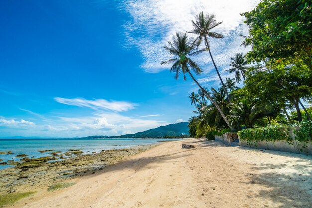 Schönes tropisches Strandmeer und -sand mit KokosnussPalme auf blauem Himmel und weißer Wolke