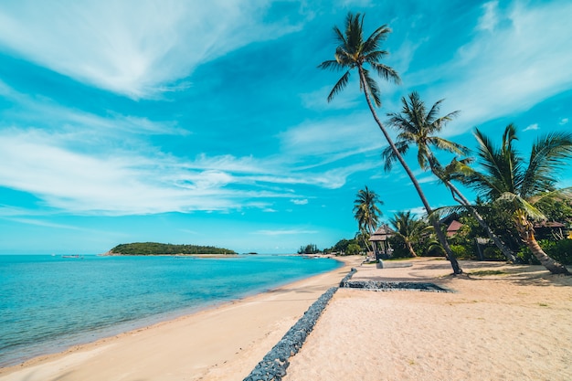 Schönes tropisches Strandmeer und -sand mit KokosnussPalme auf blauem Himmel und weißer Wolke