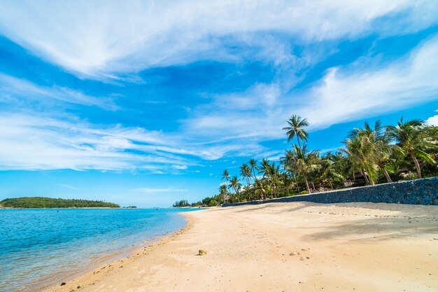 Schönes tropisches Strandmeer und -sand mit KokosnussPalme auf blauem Himmel und weißer Wolke