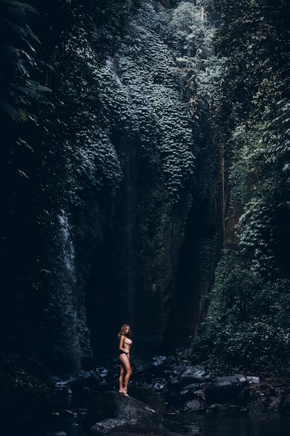Schönheitsfrau, die im Wasserfall, Bikini, erstaunliche Natur, Porträt im Freien aufwirft