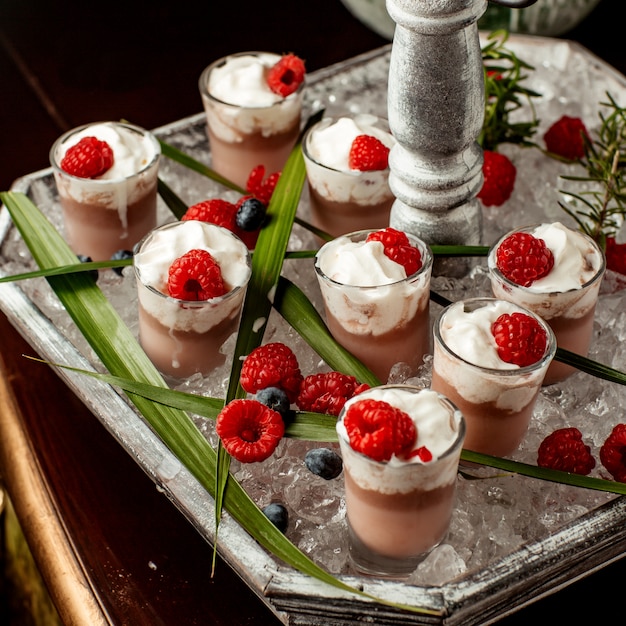 Schokoladenpudding mit Schlagsahne und Himbeere in Schnapsgläsern