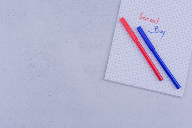 Schriften auf leerem Papier mit roten und blauen Stiften.
