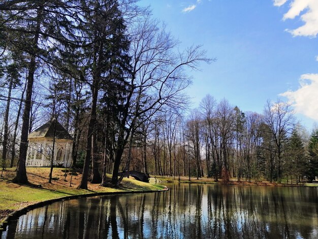 Schuss der Bäume und einer Laube am Ufer des Sees in Jelenia Góra, Polen.