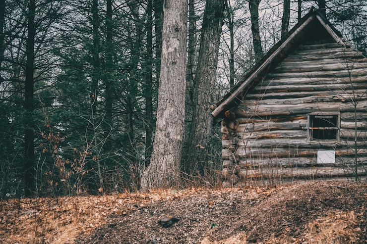 Kostenlose Foto schuss einer holzhütte nahe bäumen in einem wald