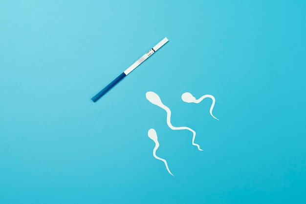 Schwangerschaftstest Stillleben Anordnung