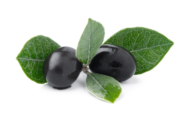 Schwarze Oliven mit Blättern auf weißem Hintergrund