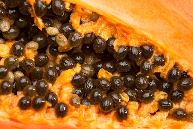 Kostenloses Foto schwarze samen der papayafrucht