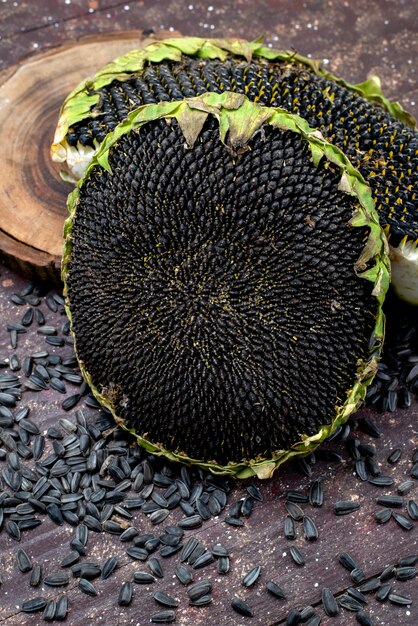 Schwarze Sonnenblumenkerne der Vorderansicht frisch und lecker auf dem braunen Schreibtischkorn-Sonnenblumenkern-Snack