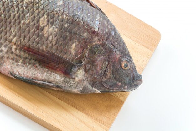 Schwarze Tilapia oder Tilapia