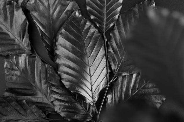 Schwarzer Hintergrund mit Blättern und Vegetationsbeschaffenheit