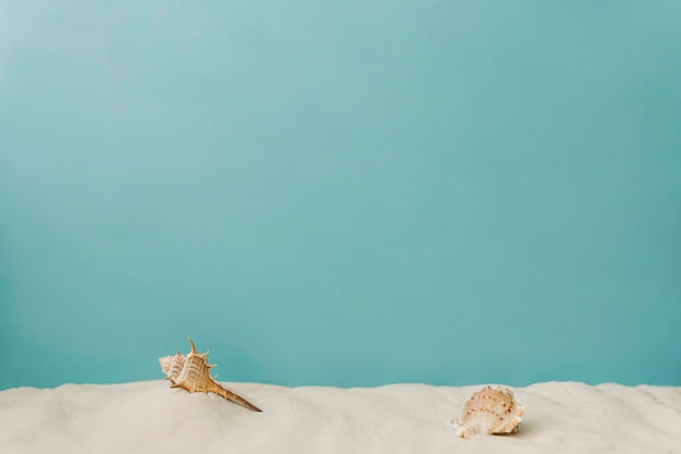 Seashell auf Sand auf blauem Hintergrund