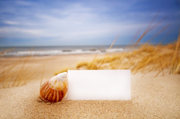 Kostenloses Foto seashell mit einem leeren visitenkarte