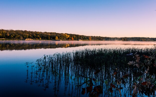 See mit Gras, das auf dem Wasser reflektiert, umgeben von Wäldern, die während des Sonnenuntergangs im Nebel bedeckt sind