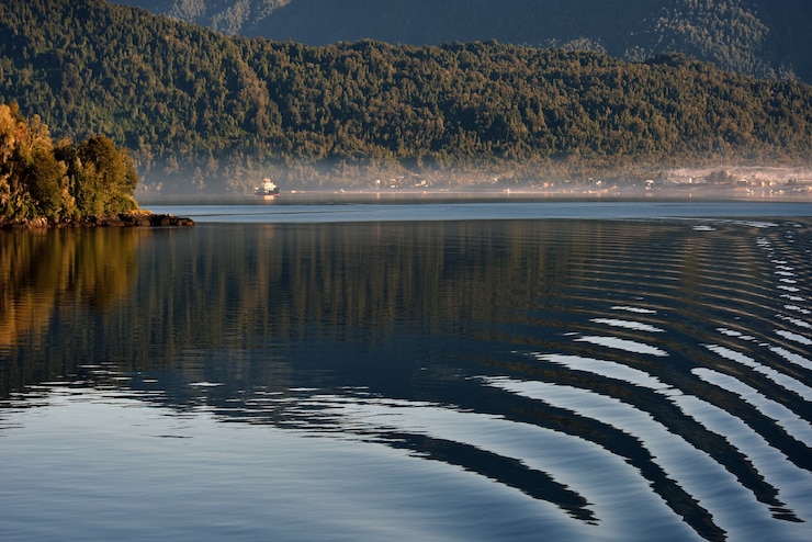 Kostenlose Foto see mit reflexion darauf und ein wald