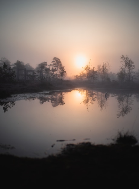 See mit Reflexion der Sonne mit Bäumen um ihn herum während des Sonnenuntergangs