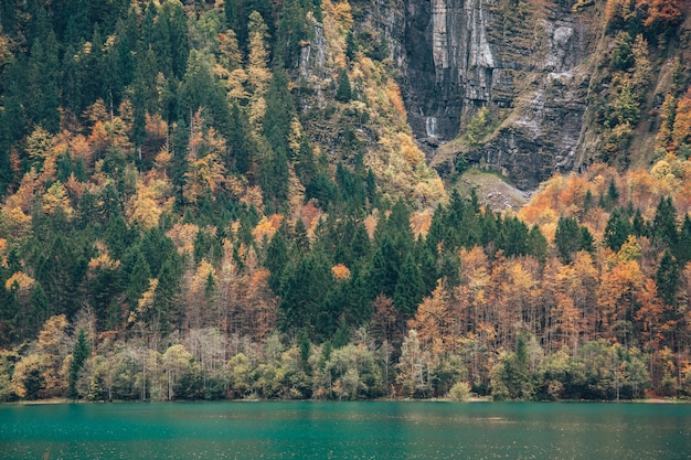 See umgeben von Felsen und Wäldern unter dem Sonnenlicht am Tag