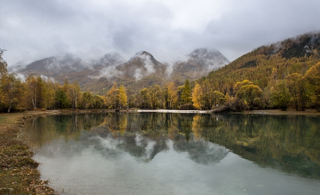 See und Wald im Herbst mit nebligem Himmel