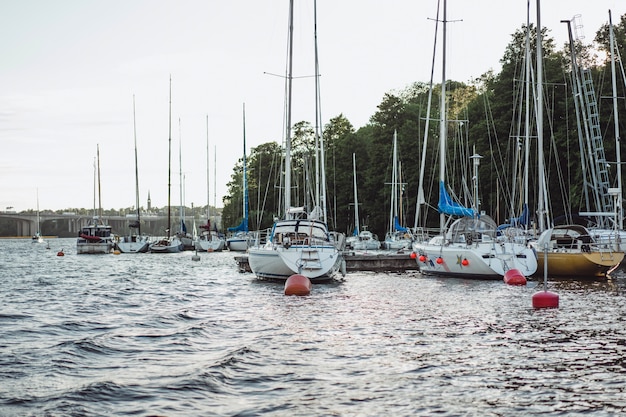 Kostenloses Foto segelboote und yachten auf dem pier in stockholm vor dem stadtzentrum