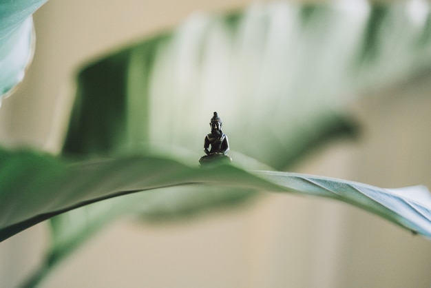 Sehr kleine Buddha-Statue auf einem großen Pflanzenblatt