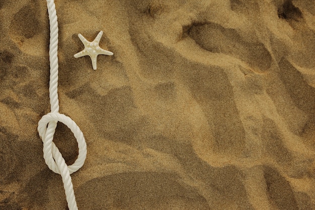 Seil und Seesterne auf dem Sand