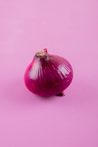 Seitenansicht der roten Zwiebel auf lila Hintergrund mit Kopienraum