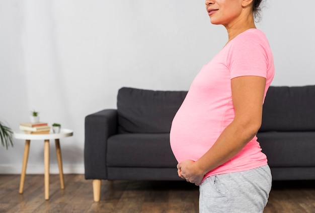 Kostenloses Foto seitenansicht der schwangeren frau zu hause