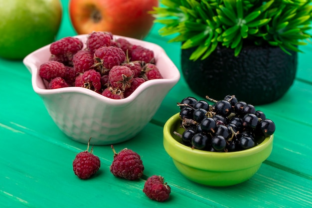 Kostenloses Foto seitenansicht der schwarzen johannisbeere mit himbeeren in schalen auf einer grünen oberfläche