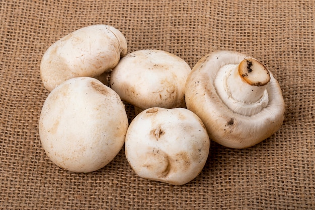 Seitenansicht des Champignons der frischen Pilze auf Sackleinenhintergrund