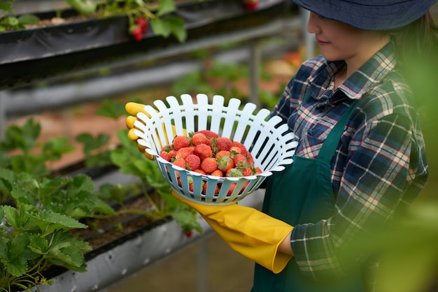 Seitenansicht des jungen weiblichen Landwirts, der eine Schüssel Erdbeeren hält