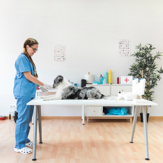 Kostenloses Foto seitenansicht des lächelnden weiblichen tierarztes mit hund auf tabelle in der klinik