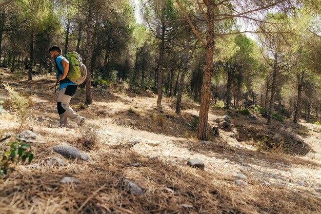 Seitenansicht des Wanderers, der die Natur erforscht