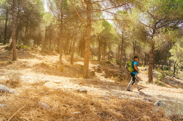 Seitenansicht des Wanderers im Wald