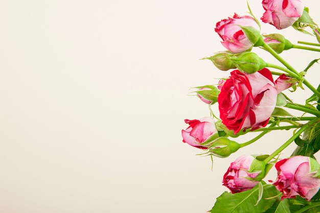 Seitenansicht eines Blumenstraußes der bunten Rosenblumen mit Rosenknospen auf weißem Hintergrund mit Kopienraum