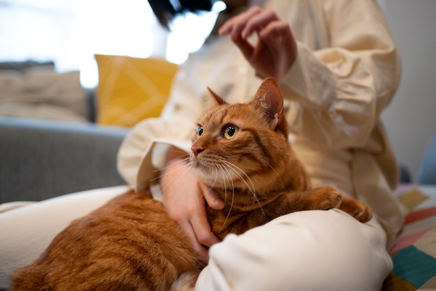 Kostenloses Foto seitenansicht japanische frau mit katze