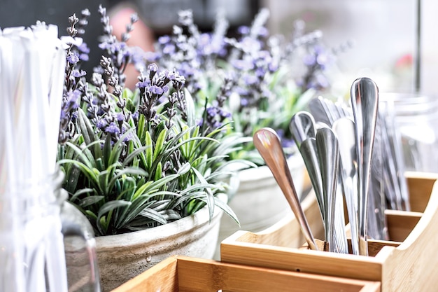 Seitenansicht Lavendel in Töpfen mit Lebensmittelgeräten