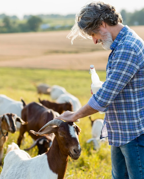 Seitenansicht Mann neben Ziegen mit Flasche Milch