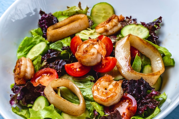 Seitenansicht Meeresfrüchtesalat gegrillte Calamari und Garnelen mit Salat frische Tomate und Gurke auf einem Teller