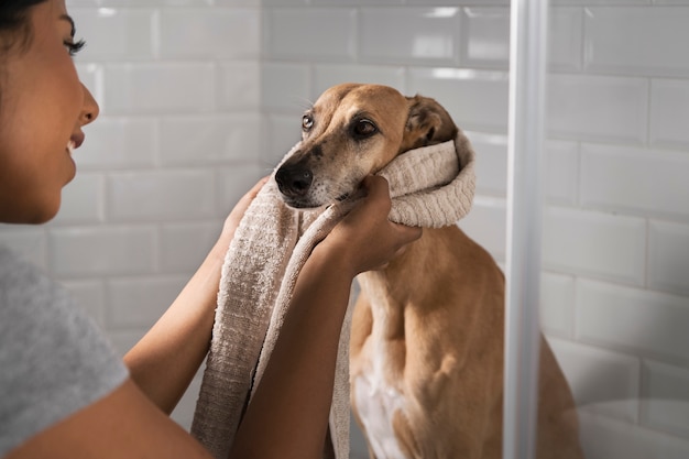 Kostenloses Foto seitenansicht smiley frau waschen hund